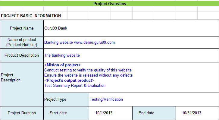 test report project information